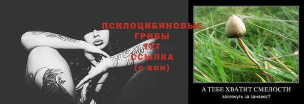 ECSTASY Абинск