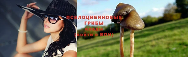 спиды Пестово