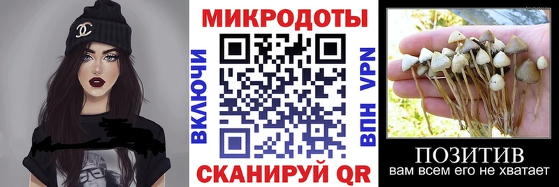 где продают наркотики  Алапаевск  Псилоцибиновые грибы мицелий 